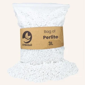 Perlite | 3 L | Drainage | Terreau de rempotage | Mélange de sol bricolage