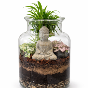 Terrarium zen jardin miniature