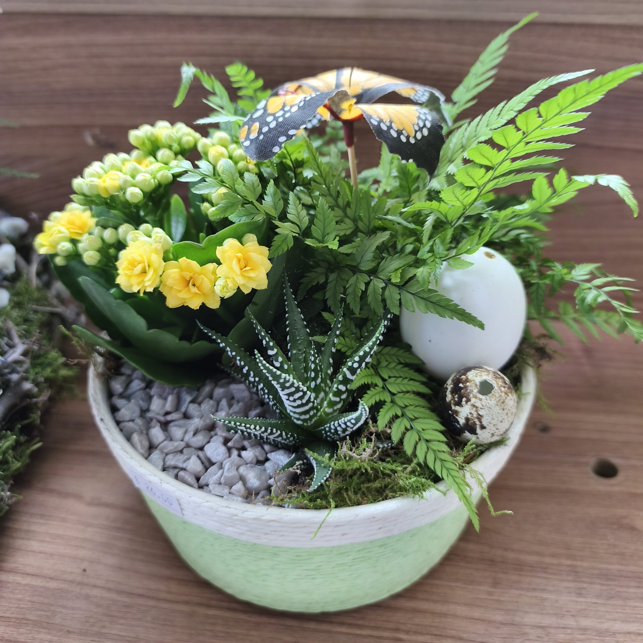 Mini jardin d’intérieur fleuri
